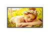 Scheda Tecnica: LG 32UL5Q-M 32, 3,840 x 2,160 (4K UHD), 500 nits (Typ.) - VA, 60 Hz, DCI 80%, 178 178, 10 W 2