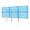 Scheda Tecnica: StarTech .com Six-Monitor Desk Mount w/ Crossbar - Up To 32-inch Computer Screens/Max 17.6lb each, Dual Column