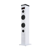 Scheda Tecnica: NGS Altoparlante 50w Bluetooth 2 Torri USB Radio Fm Aux - Bianco