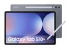 Scheda Tecnica: Samsung Galaxy Tab S10+ WiFi 256GB Grey - 