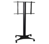 Scheda Tecnica: ITB Carrello Da Pavimento Fino 50" - 