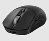Scheda Tecnica: HP 705 Mouse Ricaricabile Senza Fii - 