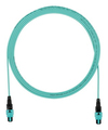 Scheda Tecnica: Panduit Cavo Om4 12-fiber Mpo F/Mpo F Met.b Lszh Mt.6 - 