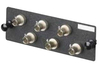 Scheda Tecnica: Panduit Fap Con 6 Adattatori St - 