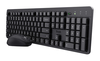 Scheda Tecnica: Trust Keyboard - ODY II W MOUSE BK US IT