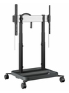 Scheda Tecnica: Optoma RISE 5308 Motorized Display ift Trolley 80 B Eu - 