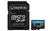 Scheda Tecnica: Kingston 64GB Msdxc Canvas Go Plus 170r A2 U3 V30 Card + - Adapter